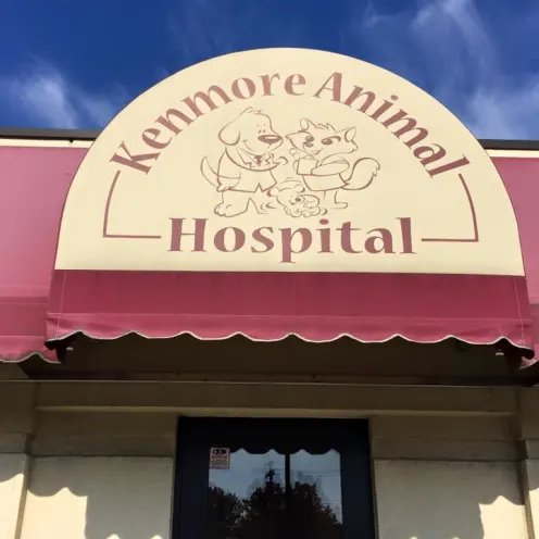 Front Office of Kenmore Animal Hospital